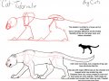 Cat_Tutorial__Big_Cat_by_modesty.jpg